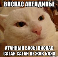 Вискас акелдинбе Атаннын басы вискас саган саган не жок бляя