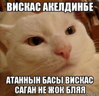 Вискас акелдинбе Атаннын басы вискас саган не жок бляя