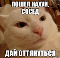 пошел нахуй, сосед дай оттянуться