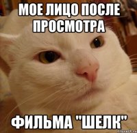 Мое лицо после просмотра фильма "Шелк"