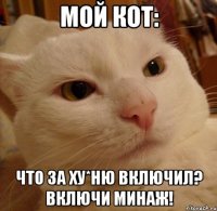 Мой кот: что за ху*ню включил? Включи минаж!