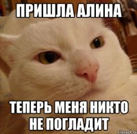 пришла Алина теперь меня никто не погладит