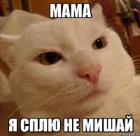 Мама Я сплю не мишай