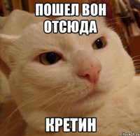 пошел вон отсюда кретин