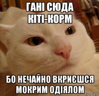 гані сюда кіті-корм бо нечайно вкриєшся мокрим одіялом