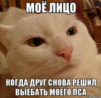 МОЁ ЛИЦО КОГДА ДРУГ СНОВА РЕШИЛ ВЫЕБАТЬ МОЕГО ПСА