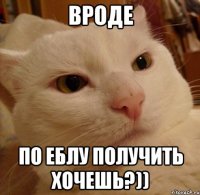 вроде по еблу получить хочешь?))