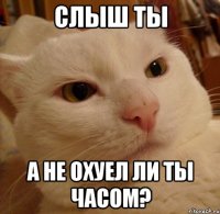 Слыш ты А не охуел ли ты часом?