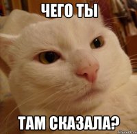 ЧЕГО ТЫ ТАМ СКАЗАЛА?