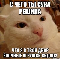с чего ты сука решила что я в твой двор ёлочные игрушки кидал?