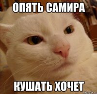ОПЯТЬ САМИРА КУШАТЬ ХОЧЕТ