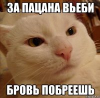 За пацана вьеби Бровь побреешь