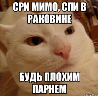 сри мимо, спи в раковине будь плохим парнем