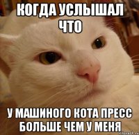Когда услышал что у Машиного кота пресс больше чем у меня