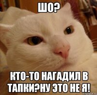 Шо? Кто-то нагадил в тапки?Ну это не я!