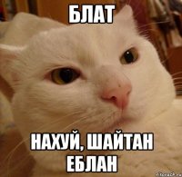 блат нахуй, шайтан еблан