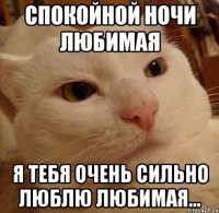 спокойной ночи любимая я тебя очень сильно люблю любимая...