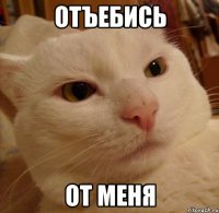 отъебись от меня