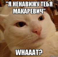 "Я НЕНАВИЖУ ТЕБЯ МАКАРЕВИЧ" WHAAAT?