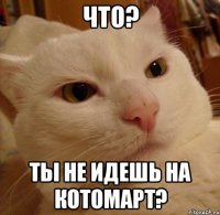 что? ты не идешь на КОТОМАРТ?