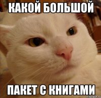 какой большой пакет с книгами