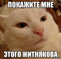 покажите мне этого житнякова