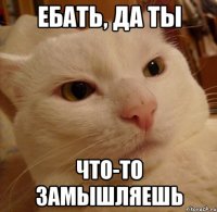 Ебать, да ты что-то замышляешь