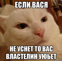 Если вася Не уснет то вас властелин уюьет
