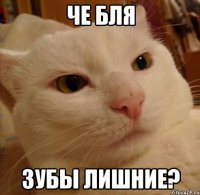 ЧЕ БЛЯ ЗУБЫ ЛИШНИЕ?