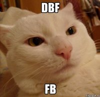dbf fb
