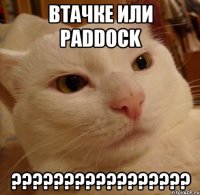 ВТачке или paddock ?????????????????