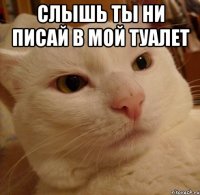 слышь ты ни писай в мой туалет 