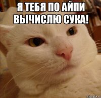 Я тебя по айпи вычислю сука! 