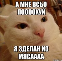 а мне всьо поооохуй я зделан из мясаааа