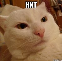нит 