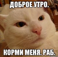 Доброе утро. Корми меня. Раб.