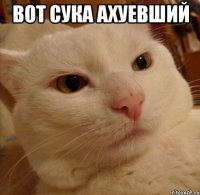 вот сука ахуевший 