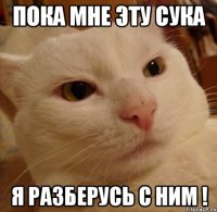 Пока мне эту сука Я разберусь с ним !