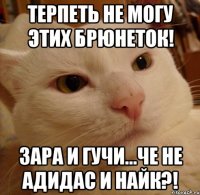 Терпеть не могу этих брюнеток! Зара и Гучи...Че не адидас и найк?!
