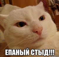  ЕПАНЫЙ СТЫД!!!
