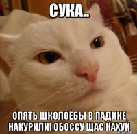СУКА.. ОПЯТЬ ШКОЛОЁБЫ В ПАДИКЕ НАКУРИЛИ! ОБОССУ ЩАС НАХУЙ