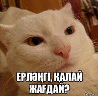  Ерләңгі, Қалай жағдай?