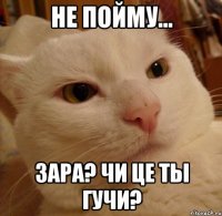 Не пойму... Зара? Чи це ты гучи?
