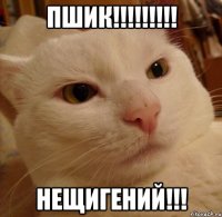 Пшик!!!!!!!!! Нещигений!!!