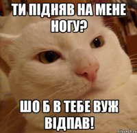 ти підняв на мене ногу? шо б в тебе вуж відпав!