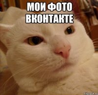 мои фото вконтакте 