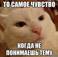 То самое чувство Когда не понимаешь тему