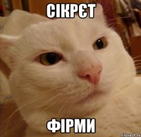 сікрєт фірми