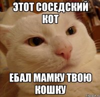 этот соседский кот ебал мамку твою кошку