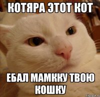 Котяра этот кот ебал мамкку твою кошку